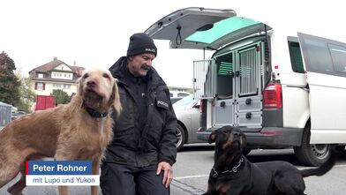 Policiers à quatre pattes